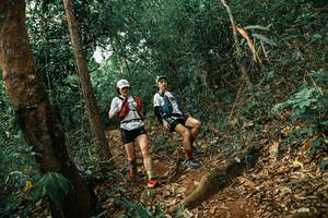 BIB: 
                            <button type="button" onclick="openModal(25537863)" class="btn btn-primary btn-sm float-right btn-popup" data-toggle="modal" data-target=".modal-high-quality">
                        <i class="fas fa-shopping-cart"></i> Add to Cart
                    </button>
                                            <button type="button" onclick="isThisMe(25537863, true)" class="btn btn-success btn-sm float-right btn-popup btn-isme hidden" data-toggle="tooltip" data-placement="bottom" title="นี่คือรูปของคุณใช่ไหม คลิกที่นี่เพื่อเอาเข้าอัลบั้ม">
                        <i class="fas fa-plus"></i> Add to album
                    </button>
                    <button type="button" onclick="isThisMe(25537863, false)" class="btn btn-warning btn-sm float-right btn-popup btn-isnotme hidden">
                        <i class="fas fa-ban"></i> Remove from album
                    </button>