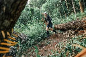 BIB: 
                            <button type="button" onclick="openModal(25531237)" class="btn btn-primary btn-sm float-right btn-popup" data-toggle="modal" data-target=".modal-high-quality">
                        <i class="fas fa-shopping-cart"></i> Add to Cart
                    </button>
                                            <button type="button" onclick="isThisMe(25531237, true)" class="btn btn-success btn-sm float-right btn-popup btn-isme hidden" data-toggle="tooltip" data-placement="bottom" title="นี่คือรูปของคุณใช่ไหม คลิกที่นี่เพื่อเอาเข้าอัลบั้ม">
                        <i class="fas fa-plus"></i> Add to album
                    </button>
                    <button type="button" onclick="isThisMe(25531237, false)" class="btn btn-warning btn-sm float-right btn-popup btn-isnotme hidden">
                        <i class="fas fa-ban"></i> Remove from album
                    </button>