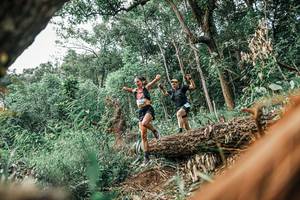 BIB: 
                            <button type="button" onclick="openModal(25531135)" class="btn btn-primary btn-sm float-right btn-popup" data-toggle="modal" data-target=".modal-high-quality">
                        <i class="fas fa-shopping-cart"></i> Add to Cart
                    </button>
                                            <button type="button" onclick="isThisMe(25531135, true)" class="btn btn-success btn-sm float-right btn-popup btn-isme hidden" data-toggle="tooltip" data-placement="bottom" title="นี่คือรูปของคุณใช่ไหม คลิกที่นี่เพื่อเอาเข้าอัลบั้ม">
                        <i class="fas fa-plus"></i> Add to album
                    </button>
                    <button type="button" onclick="isThisMe(25531135, false)" class="btn btn-warning btn-sm float-right btn-popup btn-isnotme hidden">
                        <i class="fas fa-ban"></i> Remove from album
                    </button>