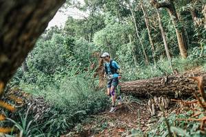 BIB: 
                            <button type="button" onclick="openModal(25531074)" class="btn btn-primary btn-sm float-right btn-popup" data-toggle="modal" data-target=".modal-high-quality">
                        <i class="fas fa-shopping-cart"></i> Add to Cart
                    </button>
                                            <button type="button" onclick="isThisMe(25531074, true)" class="btn btn-success btn-sm float-right btn-popup btn-isme hidden" data-toggle="tooltip" data-placement="bottom" title="นี่คือรูปของคุณใช่ไหม คลิกที่นี่เพื่อเอาเข้าอัลบั้ม">
                        <i class="fas fa-plus"></i> Add to album
                    </button>
                    <button type="button" onclick="isThisMe(25531074, false)" class="btn btn-warning btn-sm float-right btn-popup btn-isnotme hidden">
                        <i class="fas fa-ban"></i> Remove from album
                    </button>