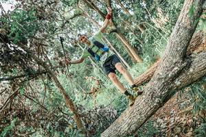 BIB: 
                            <button type="button" onclick="openModal(25532190)" class="btn btn-primary btn-sm float-right btn-popup" data-toggle="modal" data-target=".modal-high-quality">
                        <i class="fas fa-shopping-cart"></i> Add to Cart
                    </button>
                                            <button type="button" onclick="isThisMe(25532190, true)" class="btn btn-success btn-sm float-right btn-popup btn-isme hidden" data-toggle="tooltip" data-placement="bottom" title="นี่คือรูปของคุณใช่ไหม คลิกที่นี่เพื่อเอาเข้าอัลบั้ม">
                        <i class="fas fa-plus"></i> Add to album
                    </button>
                    <button type="button" onclick="isThisMe(25532190, false)" class="btn btn-warning btn-sm float-right btn-popup btn-isnotme hidden">
                        <i class="fas fa-ban"></i> Remove from album
                    </button>