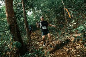 BIB: 
                            <button type="button" onclick="openModal(25546819)" class="btn btn-primary btn-sm float-right btn-popup" data-toggle="modal" data-target=".modal-high-quality">
                        <i class="fas fa-shopping-cart"></i> Add to Cart
                    </button>
                                            <button type="button" onclick="isThisMe(25546819, true)" class="btn btn-success btn-sm float-right btn-popup btn-isme hidden" data-toggle="tooltip" data-placement="bottom" title="นี่คือรูปของคุณใช่ไหม คลิกที่นี่เพื่อเอาเข้าอัลบั้ม">
                        <i class="fas fa-plus"></i> Add to album
                    </button>
                    <button type="button" onclick="isThisMe(25546819, false)" class="btn btn-warning btn-sm float-right btn-popup btn-isnotme hidden">
                        <i class="fas fa-ban"></i> Remove from album
                    </button>