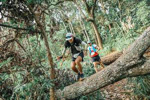 BIB: 
                            <button type="button" onclick="openModal(25531927)" class="btn btn-primary btn-sm float-right btn-popup" data-toggle="modal" data-target=".modal-high-quality">
                        <i class="fas fa-shopping-cart"></i> Add to Cart
                    </button>
                                            <button type="button" onclick="isThisMe(25531927, true)" class="btn btn-success btn-sm float-right btn-popup btn-isme hidden" data-toggle="tooltip" data-placement="bottom" title="นี่คือรูปของคุณใช่ไหม คลิกที่นี่เพื่อเอาเข้าอัลบั้ม">
                        <i class="fas fa-plus"></i> Add to album
                    </button>
                    <button type="button" onclick="isThisMe(25531927, false)" class="btn btn-warning btn-sm float-right btn-popup btn-isnotme hidden">
                        <i class="fas fa-ban"></i> Remove from album
                    </button>