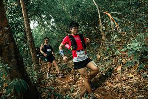 BIB: 
                            <button type="button" onclick="openModal(25535380)" class="btn btn-primary btn-sm float-right btn-popup" data-toggle="modal" data-target=".modal-high-quality">
                        <i class="fas fa-shopping-cart"></i> Add to Cart
                    </button>
                                            <button type="button" onclick="isThisMe(25535380, true)" class="btn btn-success btn-sm float-right btn-popup btn-isme hidden" data-toggle="tooltip" data-placement="bottom" title="นี่คือรูปของคุณใช่ไหม คลิกที่นี่เพื่อเอาเข้าอัลบั้ม">
                        <i class="fas fa-plus"></i> Add to album
                    </button>
                    <button type="button" onclick="isThisMe(25535380, false)" class="btn btn-warning btn-sm float-right btn-popup btn-isnotme hidden">
                        <i class="fas fa-ban"></i> Remove from album
                    </button>