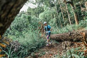 BIB: 
                            <button type="button" onclick="openModal(25531067)" class="btn btn-primary btn-sm float-right btn-popup" data-toggle="modal" data-target=".modal-high-quality">
                        <i class="fas fa-shopping-cart"></i> Add to Cart
                    </button>
                                            <button type="button" onclick="isThisMe(25531067, true)" class="btn btn-success btn-sm float-right btn-popup btn-isme hidden" data-toggle="tooltip" data-placement="bottom" title="นี่คือรูปของคุณใช่ไหม คลิกที่นี่เพื่อเอาเข้าอัลบั้ม">
                        <i class="fas fa-plus"></i> Add to album
                    </button>
                    <button type="button" onclick="isThisMe(25531067, false)" class="btn btn-warning btn-sm float-right btn-popup btn-isnotme hidden">
                        <i class="fas fa-ban"></i> Remove from album
                    </button>