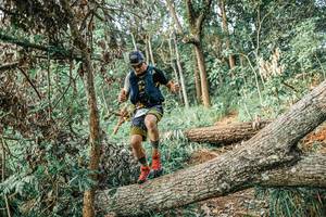 BIB: 
                            <button type="button" onclick="openModal(25531878)" class="btn btn-primary btn-sm float-right btn-popup" data-toggle="modal" data-target=".modal-high-quality">
                        <i class="fas fa-shopping-cart"></i> Add to Cart
                    </button>
                                            <button type="button" onclick="isThisMe(25531878, true)" class="btn btn-success btn-sm float-right btn-popup btn-isme hidden" data-toggle="tooltip" data-placement="bottom" title="นี่คือรูปของคุณใช่ไหม คลิกที่นี่เพื่อเอาเข้าอัลบั้ม">
                        <i class="fas fa-plus"></i> Add to album
                    </button>
                    <button type="button" onclick="isThisMe(25531878, false)" class="btn btn-warning btn-sm float-right btn-popup btn-isnotme hidden">
                        <i class="fas fa-ban"></i> Remove from album
                    </button>