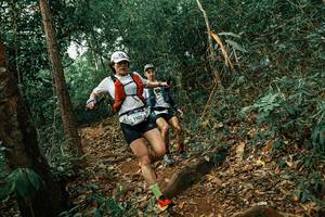 BIB: 
                            <button type="button" onclick="openModal(25537898)" class="btn btn-primary btn-sm float-right btn-popup" data-toggle="modal" data-target=".modal-high-quality">
                        <i class="fas fa-shopping-cart"></i> Add to Cart
                    </button>
                                            <button type="button" onclick="isThisMe(25537898, true)" class="btn btn-success btn-sm float-right btn-popup btn-isme hidden" data-toggle="tooltip" data-placement="bottom" title="นี่คือรูปของคุณใช่ไหม คลิกที่นี่เพื่อเอาเข้าอัลบั้ม">
                        <i class="fas fa-plus"></i> Add to album
                    </button>
                    <button type="button" onclick="isThisMe(25537898, false)" class="btn btn-warning btn-sm float-right btn-popup btn-isnotme hidden">
                        <i class="fas fa-ban"></i> Remove from album
                    </button>