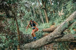 BIB: 
                            <button type="button" onclick="openModal(25531884)" class="btn btn-primary btn-sm float-right btn-popup" data-toggle="modal" data-target=".modal-high-quality">
                        <i class="fas fa-shopping-cart"></i> Add to Cart
                    </button>
                                            <button type="button" onclick="isThisMe(25531884, true)" class="btn btn-success btn-sm float-right btn-popup btn-isme hidden" data-toggle="tooltip" data-placement="bottom" title="นี่คือรูปของคุณใช่ไหม คลิกที่นี่เพื่อเอาเข้าอัลบั้ม">
                        <i class="fas fa-plus"></i> Add to album
                    </button>
                    <button type="button" onclick="isThisMe(25531884, false)" class="btn btn-warning btn-sm float-right btn-popup btn-isnotme hidden">
                        <i class="fas fa-ban"></i> Remove from album
                    </button>