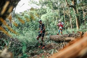 BIB: 
                            <button type="button" onclick="openModal(25530951)" class="btn btn-primary btn-sm float-right btn-popup" data-toggle="modal" data-target=".modal-high-quality">
                        <i class="fas fa-shopping-cart"></i> Add to Cart
                    </button>
                                            <button type="button" onclick="isThisMe(25530951, true)" class="btn btn-success btn-sm float-right btn-popup btn-isme hidden" data-toggle="tooltip" data-placement="bottom" title="นี่คือรูปของคุณใช่ไหม คลิกที่นี่เพื่อเอาเข้าอัลบั้ม">
                        <i class="fas fa-plus"></i> Add to album
                    </button>
                    <button type="button" onclick="isThisMe(25530951, false)" class="btn btn-warning btn-sm float-right btn-popup btn-isnotme hidden">
                        <i class="fas fa-ban"></i> Remove from album
                    </button>