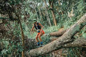 BIB: 
                            <button type="button" onclick="openModal(25531893)" class="btn btn-primary btn-sm float-right btn-popup" data-toggle="modal" data-target=".modal-high-quality">
                        <i class="fas fa-shopping-cart"></i> Add to Cart
                    </button>
                                            <button type="button" onclick="isThisMe(25531893, true)" class="btn btn-success btn-sm float-right btn-popup btn-isme hidden" data-toggle="tooltip" data-placement="bottom" title="นี่คือรูปของคุณใช่ไหม คลิกที่นี่เพื่อเอาเข้าอัลบั้ม">
                        <i class="fas fa-plus"></i> Add to album
                    </button>
                    <button type="button" onclick="isThisMe(25531893, false)" class="btn btn-warning btn-sm float-right btn-popup btn-isnotme hidden">
                        <i class="fas fa-ban"></i> Remove from album
                    </button>