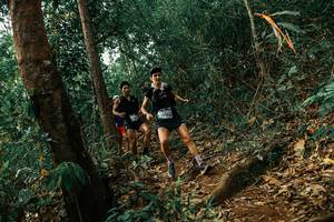 BIB: 
                            <button type="button" onclick="openModal(25543605)" class="btn btn-primary btn-sm float-right btn-popup" data-toggle="modal" data-target=".modal-high-quality">
                        <i class="fas fa-shopping-cart"></i> Add to Cart
                    </button>
                                            <button type="button" onclick="isThisMe(25543605, true)" class="btn btn-success btn-sm float-right btn-popup btn-isme hidden" data-toggle="tooltip" data-placement="bottom" title="นี่คือรูปของคุณใช่ไหม คลิกที่นี่เพื่อเอาเข้าอัลบั้ม">
                        <i class="fas fa-plus"></i> Add to album
                    </button>
                    <button type="button" onclick="isThisMe(25543605, false)" class="btn btn-warning btn-sm float-right btn-popup btn-isnotme hidden">
                        <i class="fas fa-ban"></i> Remove from album
                    </button>