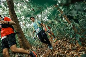 BIB: 
                            <button type="button" onclick="openModal(25545840)" class="btn btn-primary btn-sm float-right btn-popup" data-toggle="modal" data-target=".modal-high-quality">
                        <i class="fas fa-shopping-cart"></i> Add to Cart
                    </button>
                                            <button type="button" onclick="isThisMe(25545840, true)" class="btn btn-success btn-sm float-right btn-popup btn-isme hidden" data-toggle="tooltip" data-placement="bottom" title="นี่คือรูปของคุณใช่ไหม คลิกที่นี่เพื่อเอาเข้าอัลบั้ม">
                        <i class="fas fa-plus"></i> Add to album
                    </button>
                    <button type="button" onclick="isThisMe(25545840, false)" class="btn btn-warning btn-sm float-right btn-popup btn-isnotme hidden">
                        <i class="fas fa-ban"></i> Remove from album
                    </button>