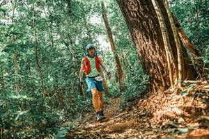 BIB: 
                            <button type="button" onclick="openModal(25565051)" class="btn btn-primary btn-sm float-right btn-popup" data-toggle="modal" data-target=".modal-high-quality">
                        <i class="fas fa-shopping-cart"></i> Add to Cart
                    </button>
                                            <button type="button" onclick="isThisMe(25565051, true)" class="btn btn-success btn-sm float-right btn-popup btn-isme hidden" data-toggle="tooltip" data-placement="bottom" title="นี่คือรูปของคุณใช่ไหม คลิกที่นี่เพื่อเอาเข้าอัลบั้ม">
                        <i class="fas fa-plus"></i> Add to album
                    </button>
                    <button type="button" onclick="isThisMe(25565051, false)" class="btn btn-warning btn-sm float-right btn-popup btn-isnotme hidden">
                        <i class="fas fa-ban"></i> Remove from album
                    </button>