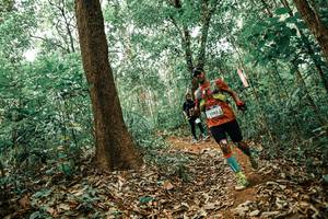 BIB: 
                            <button type="button" onclick="openModal(25536014)" class="btn btn-primary btn-sm float-right btn-popup" data-toggle="modal" data-target=".modal-high-quality">
                        <i class="fas fa-shopping-cart"></i> Add to Cart
                    </button>
                                            <button type="button" onclick="isThisMe(25536014, true)" class="btn btn-success btn-sm float-right btn-popup btn-isme hidden" data-toggle="tooltip" data-placement="bottom" title="นี่คือรูปของคุณใช่ไหม คลิกที่นี่เพื่อเอาเข้าอัลบั้ม">
                        <i class="fas fa-plus"></i> Add to album
                    </button>
                    <button type="button" onclick="isThisMe(25536014, false)" class="btn btn-warning btn-sm float-right btn-popup btn-isnotme hidden">
                        <i class="fas fa-ban"></i> Remove from album
                    </button>