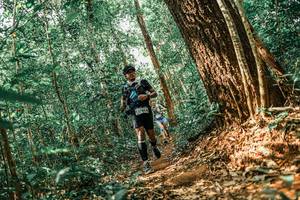 BIB: 
                            <button type="button" onclick="openModal(25565150)" class="btn btn-primary btn-sm float-right btn-popup" data-toggle="modal" data-target=".modal-high-quality">
                        <i class="fas fa-shopping-cart"></i> Add to Cart
                    </button>
                                            <button type="button" onclick="isThisMe(25565150, true)" class="btn btn-success btn-sm float-right btn-popup btn-isme hidden" data-toggle="tooltip" data-placement="bottom" title="นี่คือรูปของคุณใช่ไหม คลิกที่นี่เพื่อเอาเข้าอัลบั้ม">
                        <i class="fas fa-plus"></i> Add to album
                    </button>
                    <button type="button" onclick="isThisMe(25565150, false)" class="btn btn-warning btn-sm float-right btn-popup btn-isnotme hidden">
                        <i class="fas fa-ban"></i> Remove from album
                    </button>