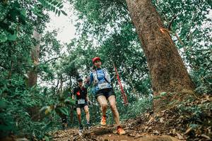 BIB: 
                            <button type="button" onclick="openModal(25567193)" class="btn btn-primary btn-sm float-right btn-popup" data-toggle="modal" data-target=".modal-high-quality">
                        <i class="fas fa-shopping-cart"></i> Add to Cart
                    </button>
                                            <button type="button" onclick="isThisMe(25567193, true)" class="btn btn-success btn-sm float-right btn-popup btn-isme hidden" data-toggle="tooltip" data-placement="bottom" title="นี่คือรูปของคุณใช่ไหม คลิกที่นี่เพื่อเอาเข้าอัลบั้ม">
                        <i class="fas fa-plus"></i> Add to album
                    </button>
                    <button type="button" onclick="isThisMe(25567193, false)" class="btn btn-warning btn-sm float-right btn-popup btn-isnotme hidden">
                        <i class="fas fa-ban"></i> Remove from album
                    </button>