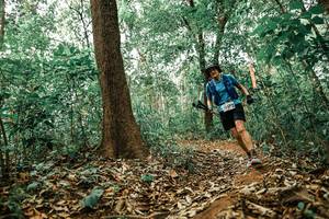 BIB: 
                            <button type="button" onclick="openModal(25536118)" class="btn btn-primary btn-sm float-right btn-popup" data-toggle="modal" data-target=".modal-high-quality">
                        <i class="fas fa-shopping-cart"></i> Add to Cart
                    </button>
                                            <button type="button" onclick="isThisMe(25536118, true)" class="btn btn-success btn-sm float-right btn-popup btn-isme hidden" data-toggle="tooltip" data-placement="bottom" title="นี่คือรูปของคุณใช่ไหม คลิกที่นี่เพื่อเอาเข้าอัลบั้ม">
                        <i class="fas fa-plus"></i> Add to album
                    </button>
                    <button type="button" onclick="isThisMe(25536118, false)" class="btn btn-warning btn-sm float-right btn-popup btn-isnotme hidden">
                        <i class="fas fa-ban"></i> Remove from album
                    </button>