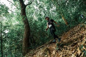 BIB: 
                            <button type="button" onclick="openModal(25534713)" class="btn btn-primary btn-sm float-right btn-popup" data-toggle="modal" data-target=".modal-high-quality">
                        <i class="fas fa-shopping-cart"></i> Add to Cart
                    </button>
                                            <button type="button" onclick="isThisMe(25534713, true)" class="btn btn-success btn-sm float-right btn-popup btn-isme hidden" data-toggle="tooltip" data-placement="bottom" title="นี่คือรูปของคุณใช่ไหม คลิกที่นี่เพื่อเอาเข้าอัลบั้ม">
                        <i class="fas fa-plus"></i> Add to album
                    </button>
                    <button type="button" onclick="isThisMe(25534713, false)" class="btn btn-warning btn-sm float-right btn-popup btn-isnotme hidden">
                        <i class="fas fa-ban"></i> Remove from album
                    </button>