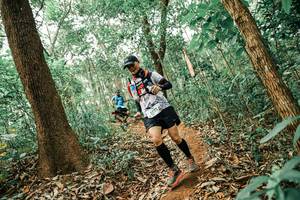 BIB: 
                            <button type="button" onclick="openModal(25552354)" class="btn btn-primary btn-sm float-right btn-popup" data-toggle="modal" data-target=".modal-high-quality">
                        <i class="fas fa-shopping-cart"></i> Add to Cart
                    </button>
                                            <button type="button" onclick="isThisMe(25552354, true)" class="btn btn-success btn-sm float-right btn-popup btn-isme hidden" data-toggle="tooltip" data-placement="bottom" title="นี่คือรูปของคุณใช่ไหม คลิกที่นี่เพื่อเอาเข้าอัลบั้ม">
                        <i class="fas fa-plus"></i> Add to album
                    </button>
                    <button type="button" onclick="isThisMe(25552354, false)" class="btn btn-warning btn-sm float-right btn-popup btn-isnotme hidden">
                        <i class="fas fa-ban"></i> Remove from album
                    </button>