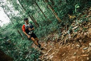 BIB: 
                            <button type="button" onclick="openModal(25563320)" class="btn btn-primary btn-sm float-right btn-popup" data-toggle="modal" data-target=".modal-high-quality">
                        <i class="fas fa-shopping-cart"></i> Add to Cart
                    </button>
                                            <button type="button" onclick="isThisMe(25563320, true)" class="btn btn-success btn-sm float-right btn-popup btn-isme hidden" data-toggle="tooltip" data-placement="bottom" title="นี่คือรูปของคุณใช่ไหม คลิกที่นี่เพื่อเอาเข้าอัลบั้ม">
                        <i class="fas fa-plus"></i> Add to album
                    </button>
                    <button type="button" onclick="isThisMe(25563320, false)" class="btn btn-warning btn-sm float-right btn-popup btn-isnotme hidden">
                        <i class="fas fa-ban"></i> Remove from album
                    </button>