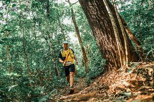 BIB: 
                            <button type="button" onclick="openModal(25565096)" class="btn btn-primary btn-sm float-right btn-popup" data-toggle="modal" data-target=".modal-high-quality">
                        <i class="fas fa-shopping-cart"></i> Add to Cart
                    </button>
                                            <button type="button" onclick="isThisMe(25565096, true)" class="btn btn-success btn-sm float-right btn-popup btn-isme hidden" data-toggle="tooltip" data-placement="bottom" title="นี่คือรูปของคุณใช่ไหม คลิกที่นี่เพื่อเอาเข้าอัลบั้ม">
                        <i class="fas fa-plus"></i> Add to album
                    </button>
                    <button type="button" onclick="isThisMe(25565096, false)" class="btn btn-warning btn-sm float-right btn-popup btn-isnotme hidden">
                        <i class="fas fa-ban"></i> Remove from album
                    </button>