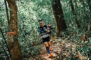 BIB: 
                            <button type="button" onclick="openModal(25564418)" class="btn btn-primary btn-sm float-right btn-popup" data-toggle="modal" data-target=".modal-high-quality">
                        <i class="fas fa-shopping-cart"></i> Add to Cart
                    </button>
                                            <button type="button" onclick="isThisMe(25564418, true)" class="btn btn-success btn-sm float-right btn-popup btn-isme hidden" data-toggle="tooltip" data-placement="bottom" title="นี่คือรูปของคุณใช่ไหม คลิกที่นี่เพื่อเอาเข้าอัลบั้ม">
                        <i class="fas fa-plus"></i> Add to album
                    </button>
                    <button type="button" onclick="isThisMe(25564418, false)" class="btn btn-warning btn-sm float-right btn-popup btn-isnotme hidden">
                        <i class="fas fa-ban"></i> Remove from album
                    </button>