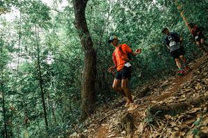 BIB: 
                            <button type="button" onclick="openModal(25534582)" class="btn btn-primary btn-sm float-right btn-popup" data-toggle="modal" data-target=".modal-high-quality">
                        <i class="fas fa-shopping-cart"></i> Add to Cart
                    </button>
                                            <button type="button" onclick="isThisMe(25534582, true)" class="btn btn-success btn-sm float-right btn-popup btn-isme hidden" data-toggle="tooltip" data-placement="bottom" title="นี่คือรูปของคุณใช่ไหม คลิกที่นี่เพื่อเอาเข้าอัลบั้ม">
                        <i class="fas fa-plus"></i> Add to album
                    </button>
                    <button type="button" onclick="isThisMe(25534582, false)" class="btn btn-warning btn-sm float-right btn-popup btn-isnotme hidden">
                        <i class="fas fa-ban"></i> Remove from album
                    </button>