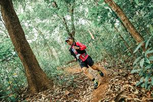 BIB: 
                            <button type="button" onclick="openModal(25553495)" class="btn btn-primary btn-sm float-right btn-popup" data-toggle="modal" data-target=".modal-high-quality">
                        <i class="fas fa-shopping-cart"></i> Add to Cart
                    </button>
                                            <button type="button" onclick="isThisMe(25553495, true)" class="btn btn-success btn-sm float-right btn-popup btn-isme hidden" data-toggle="tooltip" data-placement="bottom" title="นี่คือรูปของคุณใช่ไหม คลิกที่นี่เพื่อเอาเข้าอัลบั้ม">
                        <i class="fas fa-plus"></i> Add to album
                    </button>
                    <button type="button" onclick="isThisMe(25553495, false)" class="btn btn-warning btn-sm float-right btn-popup btn-isnotme hidden">
                        <i class="fas fa-ban"></i> Remove from album
                    </button>