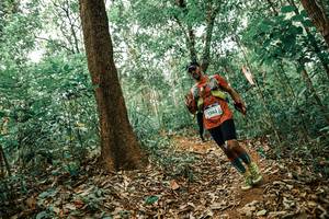 BIB: 
                            <button type="button" onclick="openModal(25536006)" class="btn btn-primary btn-sm float-right btn-popup" data-toggle="modal" data-target=".modal-high-quality">
                        <i class="fas fa-shopping-cart"></i> Add to Cart
                    </button>
                                            <button type="button" onclick="isThisMe(25536006, true)" class="btn btn-success btn-sm float-right btn-popup btn-isme hidden" data-toggle="tooltip" data-placement="bottom" title="นี่คือรูปของคุณใช่ไหม คลิกที่นี่เพื่อเอาเข้าอัลบั้ม">
                        <i class="fas fa-plus"></i> Add to album
                    </button>
                    <button type="button" onclick="isThisMe(25536006, false)" class="btn btn-warning btn-sm float-right btn-popup btn-isnotme hidden">
                        <i class="fas fa-ban"></i> Remove from album
                    </button>