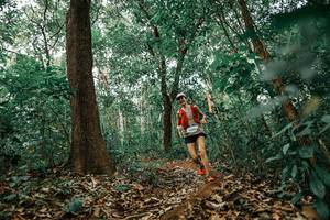 BIB: 
                            <button type="button" onclick="openModal(25549896)" class="btn btn-primary btn-sm float-right btn-popup" data-toggle="modal" data-target=".modal-high-quality">
                        <i class="fas fa-shopping-cart"></i> Add to Cart
                    </button>
                                            <button type="button" onclick="isThisMe(25549896, true)" class="btn btn-success btn-sm float-right btn-popup btn-isme hidden" data-toggle="tooltip" data-placement="bottom" title="นี่คือรูปของคุณใช่ไหม คลิกที่นี่เพื่อเอาเข้าอัลบั้ม">
                        <i class="fas fa-plus"></i> Add to album
                    </button>
                    <button type="button" onclick="isThisMe(25549896, false)" class="btn btn-warning btn-sm float-right btn-popup btn-isnotme hidden">
                        <i class="fas fa-ban"></i> Remove from album
                    </button>