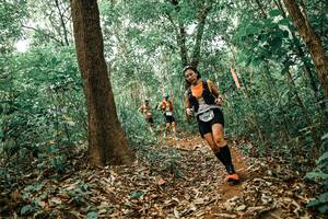 BIB: 
                            <button type="button" onclick="openModal(25535828)" class="btn btn-primary btn-sm float-right btn-popup" data-toggle="modal" data-target=".modal-high-quality">
                        <i class="fas fa-shopping-cart"></i> Add to Cart
                    </button>
                                            <button type="button" onclick="isThisMe(25535828, true)" class="btn btn-success btn-sm float-right btn-popup btn-isme hidden" data-toggle="tooltip" data-placement="bottom" title="นี่คือรูปของคุณใช่ไหม คลิกที่นี่เพื่อเอาเข้าอัลบั้ม">
                        <i class="fas fa-plus"></i> Add to album
                    </button>
                    <button type="button" onclick="isThisMe(25535828, false)" class="btn btn-warning btn-sm float-right btn-popup btn-isnotme hidden">
                        <i class="fas fa-ban"></i> Remove from album
                    </button>