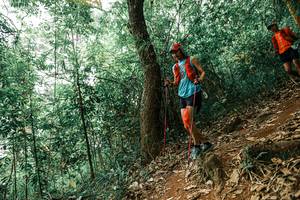 BIB: 
                            <button type="button" onclick="openModal(25534525)" class="btn btn-primary btn-sm float-right btn-popup" data-toggle="modal" data-target=".modal-high-quality">
                        <i class="fas fa-shopping-cart"></i> Add to Cart
                    </button>
                                            <button type="button" onclick="isThisMe(25534525, true)" class="btn btn-success btn-sm float-right btn-popup btn-isme hidden" data-toggle="tooltip" data-placement="bottom" title="นี่คือรูปของคุณใช่ไหม คลิกที่นี่เพื่อเอาเข้าอัลบั้ม">
                        <i class="fas fa-plus"></i> Add to album
                    </button>
                    <button type="button" onclick="isThisMe(25534525, false)" class="btn btn-warning btn-sm float-right btn-popup btn-isnotme hidden">
                        <i class="fas fa-ban"></i> Remove from album
                    </button>