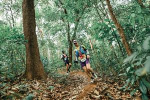 BIB: 
                            <button type="button" onclick="openModal(25548709)" class="btn btn-primary btn-sm float-right btn-popup" data-toggle="modal" data-target=".modal-high-quality">
                        <i class="fas fa-shopping-cart"></i> Add to Cart
                    </button>
                                            <button type="button" onclick="isThisMe(25548709, true)" class="btn btn-success btn-sm float-right btn-popup btn-isme hidden" data-toggle="tooltip" data-placement="bottom" title="นี่คือรูปของคุณใช่ไหม คลิกที่นี่เพื่อเอาเข้าอัลบั้ม">
                        <i class="fas fa-plus"></i> Add to album
                    </button>
                    <button type="button" onclick="isThisMe(25548709, false)" class="btn btn-warning btn-sm float-right btn-popup btn-isnotme hidden">
                        <i class="fas fa-ban"></i> Remove from album
                    </button>