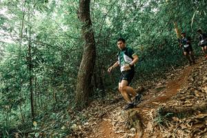 BIB: 
                            <button type="button" onclick="openModal(25535079)" class="btn btn-primary btn-sm float-right btn-popup" data-toggle="modal" data-target=".modal-high-quality">
                        <i class="fas fa-shopping-cart"></i> Add to Cart
                    </button>
                                            <button type="button" onclick="isThisMe(25535079, true)" class="btn btn-success btn-sm float-right btn-popup btn-isme hidden" data-toggle="tooltip" data-placement="bottom" title="นี่คือรูปของคุณใช่ไหม คลิกที่นี่เพื่อเอาเข้าอัลบั้ม">
                        <i class="fas fa-plus"></i> Add to album
                    </button>
                    <button type="button" onclick="isThisMe(25535079, false)" class="btn btn-warning btn-sm float-right btn-popup btn-isnotme hidden">
                        <i class="fas fa-ban"></i> Remove from album
                    </button>