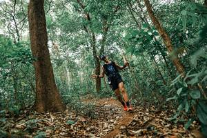 BIB: 
                            <button type="button" onclick="openModal(25542437)" class="btn btn-primary btn-sm float-right btn-popup" data-toggle="modal" data-target=".modal-high-quality">
                        <i class="fas fa-shopping-cart"></i> Add to Cart
                    </button>
                                            <button type="button" onclick="isThisMe(25542437, true)" class="btn btn-success btn-sm float-right btn-popup btn-isme hidden" data-toggle="tooltip" data-placement="bottom" title="นี่คือรูปของคุณใช่ไหม คลิกที่นี่เพื่อเอาเข้าอัลบั้ม">
                        <i class="fas fa-plus"></i> Add to album
                    </button>
                    <button type="button" onclick="isThisMe(25542437, false)" class="btn btn-warning btn-sm float-right btn-popup btn-isnotme hidden">
                        <i class="fas fa-ban"></i> Remove from album
                    </button>