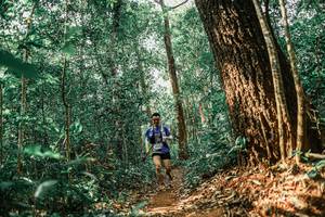 BIB: 
                            <button type="button" onclick="openModal(25564742)" class="btn btn-primary btn-sm float-right btn-popup" data-toggle="modal" data-target=".modal-high-quality">
                        <i class="fas fa-shopping-cart"></i> Add to Cart
                    </button>
                                            <button type="button" onclick="isThisMe(25564742, true)" class="btn btn-success btn-sm float-right btn-popup btn-isme hidden" data-toggle="tooltip" data-placement="bottom" title="นี่คือรูปของคุณใช่ไหม คลิกที่นี่เพื่อเอาเข้าอัลบั้ม">
                        <i class="fas fa-plus"></i> Add to album
                    </button>
                    <button type="button" onclick="isThisMe(25564742, false)" class="btn btn-warning btn-sm float-right btn-popup btn-isnotme hidden">
                        <i class="fas fa-ban"></i> Remove from album
                    </button>