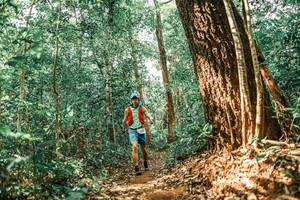 BIB: 
                            <button type="button" onclick="openModal(25565005)" class="btn btn-primary btn-sm float-right btn-popup" data-toggle="modal" data-target=".modal-high-quality">
                        <i class="fas fa-shopping-cart"></i> Add to Cart
                    </button>
                                            <button type="button" onclick="isThisMe(25565005, true)" class="btn btn-success btn-sm float-right btn-popup btn-isme hidden" data-toggle="tooltip" data-placement="bottom" title="นี่คือรูปของคุณใช่ไหม คลิกที่นี่เพื่อเอาเข้าอัลบั้ม">
                        <i class="fas fa-plus"></i> Add to album
                    </button>
                    <button type="button" onclick="isThisMe(25565005, false)" class="btn btn-warning btn-sm float-right btn-popup btn-isnotme hidden">
                        <i class="fas fa-ban"></i> Remove from album
                    </button>