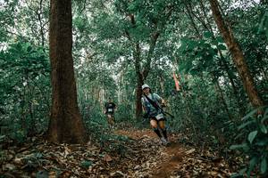 BIB: 
                            <button type="button" onclick="openModal(25550368)" class="btn btn-primary btn-sm float-right btn-popup" data-toggle="modal" data-target=".modal-high-quality">
                        <i class="fas fa-shopping-cart"></i> Add to Cart
                    </button>
                                            <button type="button" onclick="isThisMe(25550368, true)" class="btn btn-success btn-sm float-right btn-popup btn-isme hidden" data-toggle="tooltip" data-placement="bottom" title="นี่คือรูปของคุณใช่ไหม คลิกที่นี่เพื่อเอาเข้าอัลบั้ม">
                        <i class="fas fa-plus"></i> Add to album
                    </button>
                    <button type="button" onclick="isThisMe(25550368, false)" class="btn btn-warning btn-sm float-right btn-popup btn-isnotme hidden">
                        <i class="fas fa-ban"></i> Remove from album
                    </button>