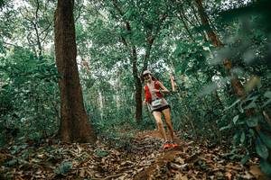 BIB: 
                            <button type="button" onclick="openModal(25549915)" class="btn btn-primary btn-sm float-right btn-popup" data-toggle="modal" data-target=".modal-high-quality">
                        <i class="fas fa-shopping-cart"></i> Add to Cart
                    </button>
                                            <button type="button" onclick="isThisMe(25549915, true)" class="btn btn-success btn-sm float-right btn-popup btn-isme hidden" data-toggle="tooltip" data-placement="bottom" title="นี่คือรูปของคุณใช่ไหม คลิกที่นี่เพื่อเอาเข้าอัลบั้ม">
                        <i class="fas fa-plus"></i> Add to album
                    </button>
                    <button type="button" onclick="isThisMe(25549915, false)" class="btn btn-warning btn-sm float-right btn-popup btn-isnotme hidden">
                        <i class="fas fa-ban"></i> Remove from album
                    </button>