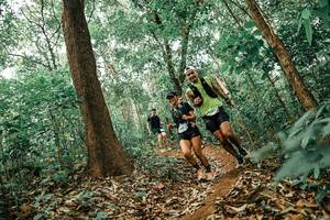 BIB: 
                            <button type="button" onclick="openModal(25542999)" class="btn btn-primary btn-sm float-right btn-popup" data-toggle="modal" data-target=".modal-high-quality">
                        <i class="fas fa-shopping-cart"></i> Add to Cart
                    </button>
                                            <button type="button" onclick="isThisMe(25542999, true)" class="btn btn-success btn-sm float-right btn-popup btn-isme hidden" data-toggle="tooltip" data-placement="bottom" title="นี่คือรูปของคุณใช่ไหม คลิกที่นี่เพื่อเอาเข้าอัลบั้ม">
                        <i class="fas fa-plus"></i> Add to album
                    </button>
                    <button type="button" onclick="isThisMe(25542999, false)" class="btn btn-warning btn-sm float-right btn-popup btn-isnotme hidden">
                        <i class="fas fa-ban"></i> Remove from album
                    </button>