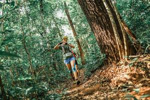 BIB: 
                            <button type="button" onclick="openModal(25565220)" class="btn btn-primary btn-sm float-right btn-popup" data-toggle="modal" data-target=".modal-high-quality">
                        <i class="fas fa-shopping-cart"></i> Add to Cart
                    </button>
                                            <button type="button" onclick="isThisMe(25565220, true)" class="btn btn-success btn-sm float-right btn-popup btn-isme hidden" data-toggle="tooltip" data-placement="bottom" title="นี่คือรูปของคุณใช่ไหม คลิกที่นี่เพื่อเอาเข้าอัลบั้ม">
                        <i class="fas fa-plus"></i> Add to album
                    </button>
                    <button type="button" onclick="isThisMe(25565220, false)" class="btn btn-warning btn-sm float-right btn-popup btn-isnotme hidden">
                        <i class="fas fa-ban"></i> Remove from album
                    </button>