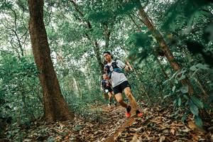 BIB: 
                            <button type="button" onclick="openModal(25545225)" class="btn btn-primary btn-sm float-right btn-popup" data-toggle="modal" data-target=".modal-high-quality">
                        <i class="fas fa-shopping-cart"></i> Add to Cart
                    </button>
                                            <button type="button" onclick="isThisMe(25545225, true)" class="btn btn-success btn-sm float-right btn-popup btn-isme hidden" data-toggle="tooltip" data-placement="bottom" title="นี่คือรูปของคุณใช่ไหม คลิกที่นี่เพื่อเอาเข้าอัลบั้ม">
                        <i class="fas fa-plus"></i> Add to album
                    </button>
                    <button type="button" onclick="isThisMe(25545225, false)" class="btn btn-warning btn-sm float-right btn-popup btn-isnotme hidden">
                        <i class="fas fa-ban"></i> Remove from album
                    </button>