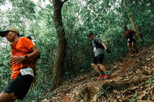 BIB: 
                            <button type="button" onclick="openModal(25534618)" class="btn btn-primary btn-sm float-right btn-popup" data-toggle="modal" data-target=".modal-high-quality">
                        <i class="fas fa-shopping-cart"></i> Add to Cart
                    </button>
                                            <button type="button" onclick="isThisMe(25534618, true)" class="btn btn-success btn-sm float-right btn-popup btn-isme hidden" data-toggle="tooltip" data-placement="bottom" title="นี่คือรูปของคุณใช่ไหม คลิกที่นี่เพื่อเอาเข้าอัลบั้ม">
                        <i class="fas fa-plus"></i> Add to album
                    </button>
                    <button type="button" onclick="isThisMe(25534618, false)" class="btn btn-warning btn-sm float-right btn-popup btn-isnotme hidden">
                        <i class="fas fa-ban"></i> Remove from album
                    </button>