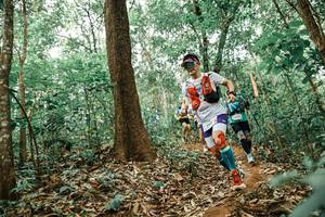 BIB: 
                            <button type="button" onclick="openModal(25536684)" class="btn btn-primary btn-sm float-right btn-popup" data-toggle="modal" data-target=".modal-high-quality">
                        <i class="fas fa-shopping-cart"></i> Add to Cart
                    </button>
                                            <button type="button" onclick="isThisMe(25536684, true)" class="btn btn-success btn-sm float-right btn-popup btn-isme hidden" data-toggle="tooltip" data-placement="bottom" title="นี่คือรูปของคุณใช่ไหม คลิกที่นี่เพื่อเอาเข้าอัลบั้ม">
                        <i class="fas fa-plus"></i> Add to album
                    </button>
                    <button type="button" onclick="isThisMe(25536684, false)" class="btn btn-warning btn-sm float-right btn-popup btn-isnotme hidden">
                        <i class="fas fa-ban"></i> Remove from album
                    </button>