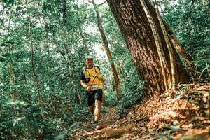 BIB: 
                            <button type="button" onclick="openModal(25565119)" class="btn btn-primary btn-sm float-right btn-popup" data-toggle="modal" data-target=".modal-high-quality">
                        <i class="fas fa-shopping-cart"></i> Add to Cart
                    </button>
                                            <button type="button" onclick="isThisMe(25565119, true)" class="btn btn-success btn-sm float-right btn-popup btn-isme hidden" data-toggle="tooltip" data-placement="bottom" title="นี่คือรูปของคุณใช่ไหม คลิกที่นี่เพื่อเอาเข้าอัลบั้ม">
                        <i class="fas fa-plus"></i> Add to album
                    </button>
                    <button type="button" onclick="isThisMe(25565119, false)" class="btn btn-warning btn-sm float-right btn-popup btn-isnotme hidden">
                        <i class="fas fa-ban"></i> Remove from album
                    </button>