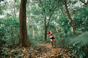 BIB: 
                            <button type="button" onclick="openModal(25538747)" class="btn btn-primary btn-sm float-right btn-popup" data-toggle="modal" data-target=".modal-high-quality">
                        <i class="fas fa-shopping-cart"></i> Add to Cart
                    </button>
                                            <button type="button" onclick="isThisMe(25538747, true)" class="btn btn-success btn-sm float-right btn-popup btn-isme hidden" data-toggle="tooltip" data-placement="bottom" title="นี่คือรูปของคุณใช่ไหม คลิกที่นี่เพื่อเอาเข้าอัลบั้ม">
                        <i class="fas fa-plus"></i> Add to album
                    </button>
                    <button type="button" onclick="isThisMe(25538747, false)" class="btn btn-warning btn-sm float-right btn-popup btn-isnotme hidden">
                        <i class="fas fa-ban"></i> Remove from album
                    </button>