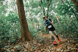 BIB: 
                            <button type="button" onclick="openModal(25536408)" class="btn btn-primary btn-sm float-right btn-popup" data-toggle="modal" data-target=".modal-high-quality">
                        <i class="fas fa-shopping-cart"></i> Add to Cart
                    </button>
                                            <button type="button" onclick="isThisMe(25536408, true)" class="btn btn-success btn-sm float-right btn-popup btn-isme hidden" data-toggle="tooltip" data-placement="bottom" title="นี่คือรูปของคุณใช่ไหม คลิกที่นี่เพื่อเอาเข้าอัลบั้ม">
                        <i class="fas fa-plus"></i> Add to album
                    </button>
                    <button type="button" onclick="isThisMe(25536408, false)" class="btn btn-warning btn-sm float-right btn-popup btn-isnotme hidden">
                        <i class="fas fa-ban"></i> Remove from album
                    </button>