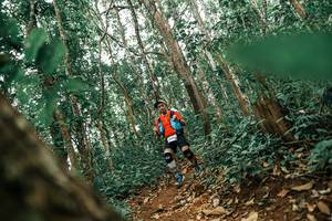 BIB: 
                            <button type="button" onclick="openModal(25556023)" class="btn btn-primary btn-sm float-right btn-popup" data-toggle="modal" data-target=".modal-high-quality">
                        <i class="fas fa-shopping-cart"></i> Add to Cart
                    </button>
                                            <button type="button" onclick="isThisMe(25556023, true)" class="btn btn-success btn-sm float-right btn-popup btn-isme hidden" data-toggle="tooltip" data-placement="bottom" title="นี่คือรูปของคุณใช่ไหม คลิกที่นี่เพื่อเอาเข้าอัลบั้ม">
                        <i class="fas fa-plus"></i> Add to album
                    </button>
                    <button type="button" onclick="isThisMe(25556023, false)" class="btn btn-warning btn-sm float-right btn-popup btn-isnotme hidden">
                        <i class="fas fa-ban"></i> Remove from album
                    </button>