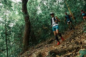 BIB: 
                            <button type="button" onclick="openModal(25534355)" class="btn btn-primary btn-sm float-right btn-popup" data-toggle="modal" data-target=".modal-high-quality">
                        <i class="fas fa-shopping-cart"></i> Add to Cart
                    </button>
                                            <button type="button" onclick="isThisMe(25534355, true)" class="btn btn-success btn-sm float-right btn-popup btn-isme hidden" data-toggle="tooltip" data-placement="bottom" title="นี่คือรูปของคุณใช่ไหม คลิกที่นี่เพื่อเอาเข้าอัลบั้ม">
                        <i class="fas fa-plus"></i> Add to album
                    </button>
                    <button type="button" onclick="isThisMe(25534355, false)" class="btn btn-warning btn-sm float-right btn-popup btn-isnotme hidden">
                        <i class="fas fa-ban"></i> Remove from album
                    </button>