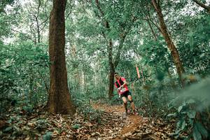 BIB: 
                            <button type="button" onclick="openModal(25538708)" class="btn btn-primary btn-sm float-right btn-popup" data-toggle="modal" data-target=".modal-high-quality">
                        <i class="fas fa-shopping-cart"></i> Add to Cart
                    </button>
                                            <button type="button" onclick="isThisMe(25538708, true)" class="btn btn-success btn-sm float-right btn-popup btn-isme hidden" data-toggle="tooltip" data-placement="bottom" title="นี่คือรูปของคุณใช่ไหม คลิกที่นี่เพื่อเอาเข้าอัลบั้ม">
                        <i class="fas fa-plus"></i> Add to album
                    </button>
                    <button type="button" onclick="isThisMe(25538708, false)" class="btn btn-warning btn-sm float-right btn-popup btn-isnotme hidden">
                        <i class="fas fa-ban"></i> Remove from album
                    </button>